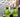 Principal Contractor responsibilities under the CDM 2015 Regulations